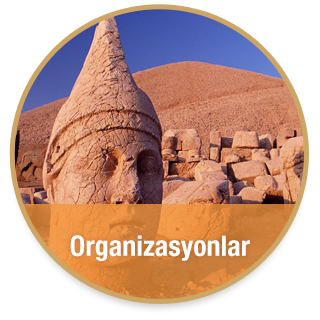 organziasyonlar-hizmetler
